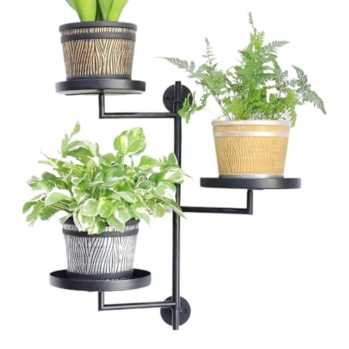 Pflanzenregal für den Innenbereich, Fensterpflanzenständer mit 3 Ebenen, moderne Heimdekoration, platzsparendes Ausstellungsregal für den Balkon, Küche, Innenraum, Arbeitszimmer von Genérico