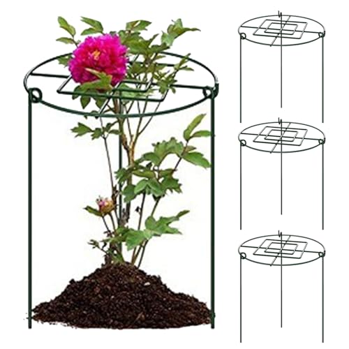Pflanzenstützen Rund - Garten Pflanze Unterstützung - Pflanzenkäfig | 4X Blumenkäfige Für Pflanzen Im Freien | Rostbeständiger Gartenrahmen-Gitterpfahl Für Die Anordnung Von Blumenbeeten Im Freien von Genérico