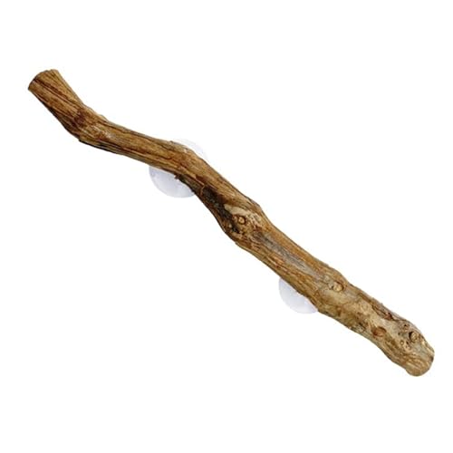 Reptilienkletterzweig - Holz-Schlangenlebensraumdekoration, strukturierter Eidechsenbügel | Flexibler Natur-Stick mit rutschfester Oberfläche, Bereicherung für den Reptilienkletterzweig - Holz-Schlangenlebensraumdekoration, strukturierter Eidechsenbügel | Flexibler Natur-Stick mit rutschfester Oberfläche, Bereicherung für den von Genérico