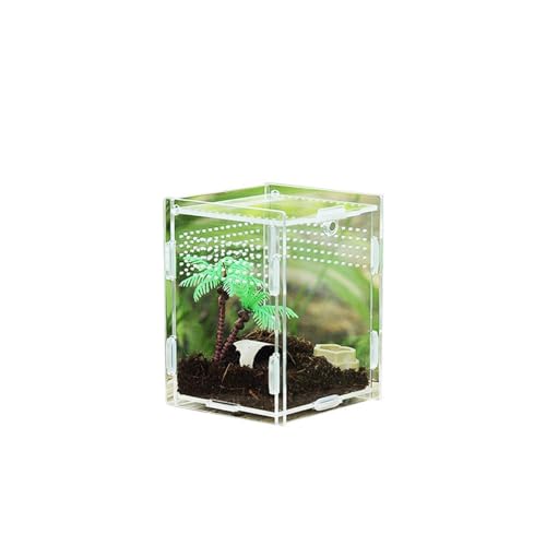 Reptilienterrarium - Reptiliengehege | Reptilientank | Transparenter Reptilientank | Aufzuchtbox für Klettertiere | Acryl Futterbox für Haustiere, Trepterrarium von Genérico