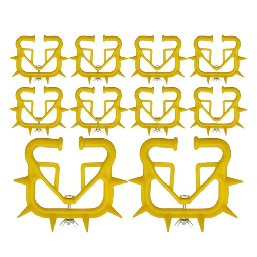 Riegel-Naseneingang – 10 x -Nasenringe für Profis, Eltern, Landwirte, Großhandel, Gesang und Riegel-Naseneingang – 10 x -Nasenringe für Profis, Eltern, Landwirte, Großhandel, Gesang und von Genérico