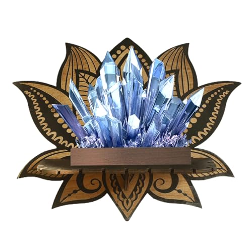 Schwebende Regale, Ausstellungsregal, eleganter schwebender Ständer mit -Design für Stein, dekorativ, Raumregal für Sammlerstücke, Edelsteine, kleine Pflanzen Schwebende Regale, Ausstellungsregal, eleganter schwebender Ständer mit -Design für Stein, dekorativ, Raumregal für Sammlerstücke, Edelsteine, kleine Pflanzen von Genérico