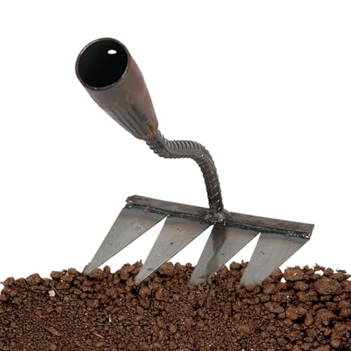 Schwerer Eisenrake Unkrautstecher – tragbarer Unkrautstecher für Unkrautjäten | robuste Gartenlaube, Gartenzucker, Handwerkzeuge Schwerer Eisenrake Unkrautstecher – tragbarer Unkrautstecher für Unkrautjäten | robuste Gartenlaube, Gartenzucker, Handwerkzeuge von Genérico
