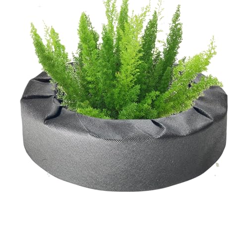 Schwimmender Teich, Schwimmring für Teichpflanzen, Stoffpflanzenkorb | Wasserblumeninsel, Wassergarten, Leiter, Blumenständer für Teiche Schwimmender Teich, Schwimmring für Teichpflanzen, Stoffpflanzenkorb | Wasserblumeninsel, Wassergarten, Leiter, Blumenständer für Teiche von Genérico