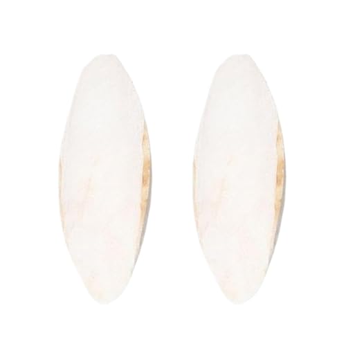 Sepia-Knochen für Schildkröten, 2 Stück Knochen für Schildkröten, Schleifstein für Wellensittiche, 15-20 cm, für Haustiere, Reptilien, , Aquarium, Kanarienvögel, Kakadus von Genérico