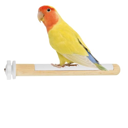 Ständer für Vogelhaken, Vogelzweig, , Barsch, Kletterspielzeug, multifunktionales Kletterspielzeug für Stacheln Ständer für Vogelhaken, Vogelzweig, , Barsch, Kletterspielzeug, multifunktionales Kletterspielzeug für Stacheln von Genérico