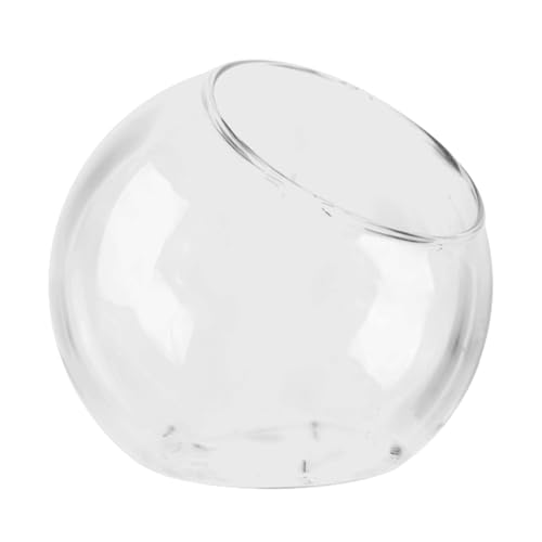 Terrarium aus Glas, Terrarium-Behälter aus Glas, Mini-Landschaftsvase, schräge Vase für den Wald des Hauses für das zentrale Stück des Hauses von Genérico