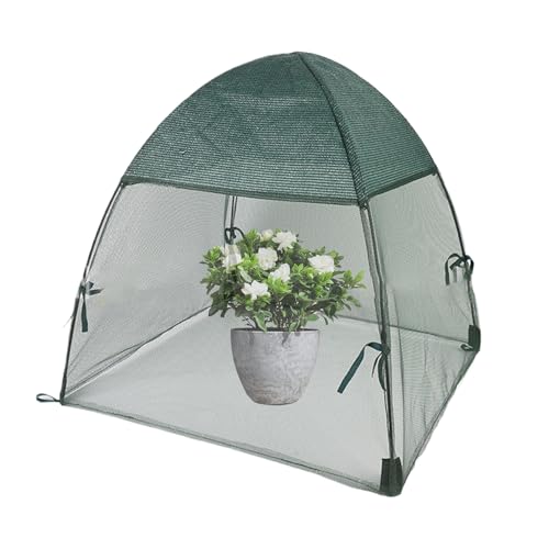 Tomato Gewächshaus für den Außenbereich, kleines und effizientes Pflanzenhaus, mobiles Gemüse, grünes Haus, Hochbett, Gartenblume aus Stoff Tomato Gewächshaus für den Außenbereich, kleines und effizientes Pflanzenhaus, mobiles Gemüse, grünes Haus, Hochbett, Gartenblume aus Stoff von Genérico
