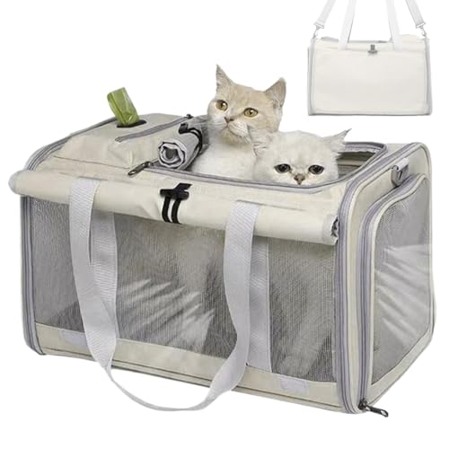 Transportbox für Haustiere, Katzentransportbox für Katzen, Transportbox für Haustiere, Transportbox für Katzen, Transportbox für Haustiere, Transportbox Transportbox für Haustiere, Katzentransportbox für Katzen, Transportbox für Haustiere, Transportbox für Katzen, Transportbox für Haustiere, Transportbox von Genérico