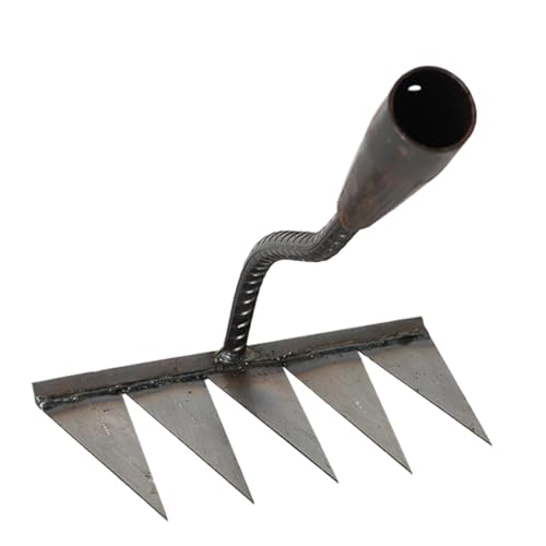 Unkrautstecher, Gartenrechen | Tragbarer Unkrautstecher | Unkrautjäter Unkrautstecher | Robuste Gartenlaube | Gartenzucker | Jardi-Handwerkzeuge Unkrautstecher, Gartenrechen | Tragbarer Unkrautstecher | Unkrautjäter Unkrautstecher | Robuste Gartenlaube | Gartenzucker | Jardi-Handwerkzeuge von Genérico
