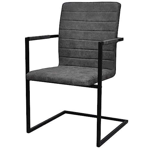 Wenjingqi 242286 Freischwinger 2er Set, Kunstleder, grau von Genérico