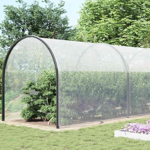 Wenjingqi 4018536 Transparente Plane mit Ösen, Polyethylen, 10 x 10 m von Genérico