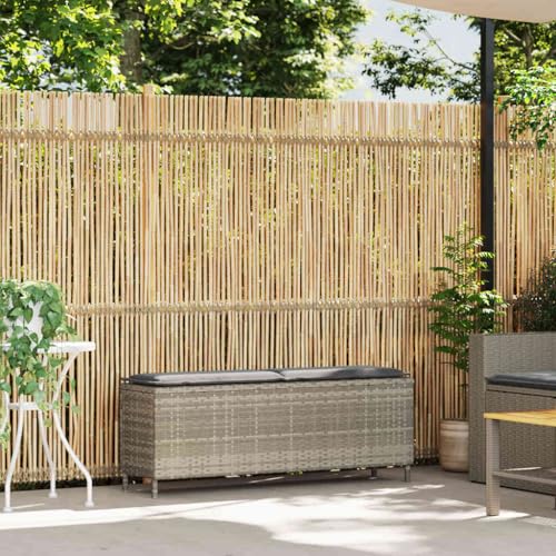 Wenjingqi 4104159 Gartenbank mit Kissen, Polyrattan, Hellgrau, 110 x 30 x 40,5 cm, Grau von Genérico