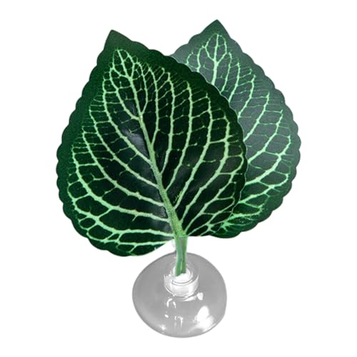 Aquarium Betta Leaf Hängematte – natürlicher Look Resting Spot, leichte Fischverbände | Künstliches Frischebett, Wohndekorationszubehör für Fische unter Rest Refort Aquarium Betta Leaf Hängematte – natürlicher Look Resting Spot, leichte Fischverbände | Künstliches Frischebett, Wohndekorationszubehör für Fische unter Rest Refort von Générique