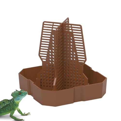 Bärtige Drachenfutterschale, Reptilienfutterschale - Kletterfutter mit kleinem Tier mit Leiter,Reptilienfütterung für Chamäleon, Leopard mit gegenseitiger Einfügungsleiter Bärtige Drachenfutterschale, Reptilienfutterschale - Kletterfutter mit kleinem Tier mit Leiter,Reptilienfütterung für Chamäleon, Leopard mit gegenseitiger Einfügungsleiter von Générique