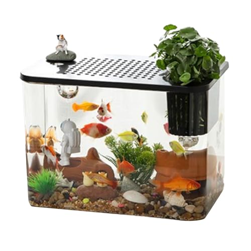 Aquarium, , Tisch, transparente Schale mit rotem Fisch – klein, Ra Aquarium, , Tisch, transparente Schale mit rotem Fisch – klein, Ra von Générique