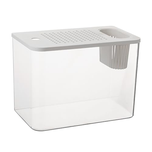 Betta Aquarium Tank – Mini Glass Pish Tref aus Glas | Büro-Fischgrins | Betta Fish Tanks | Mini-Starterset Aquarien | schnell und einfach einzurichten | Sehen Sie das Aquarium mit einem Betta Aquarium Tank – Mini Glass Pish Tref aus Glas | Büro-Fischgrins | Betta Fish Tanks | Mini-Starterset Aquarien | schnell und einfach einzurichten | Sehen Sie das Aquarium mit einem von Générique