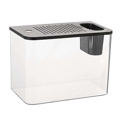 Betta Aquarium Tank – Mini Glass Pish Tref aus Glas | Büro-Fischgrins | Betta Fish Tanks | Mini-Starterset Aquarien | schnell und einfach einzurichten | Sehen Sie das Aquarium mit einem von Générique