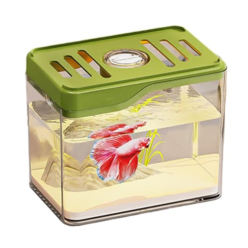 Betta Fish Tap, Büro-Aquarium, robust, leicht, Schreibtisch-Schüssel für Schlafzimmer für Kollegen von Freunden der Familie von Générique