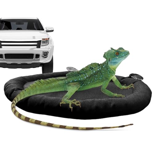 Car Hängematte – Grilldrache Hängematte Hängematte Lounger für das Chamäleon | Tank Tank Lizard Car Hängematte Small Animal Support Bett geeignet für kleine Tiere Hamster Chinchillas Car Hängematte – Grilldrache Hängematte Hängematte Lounger für das Chamäleon | Tank Tank Lizard Car Hängematte Small Animal Support Bett geeignet für kleine Tiere Hamster Chinchillas von Générique