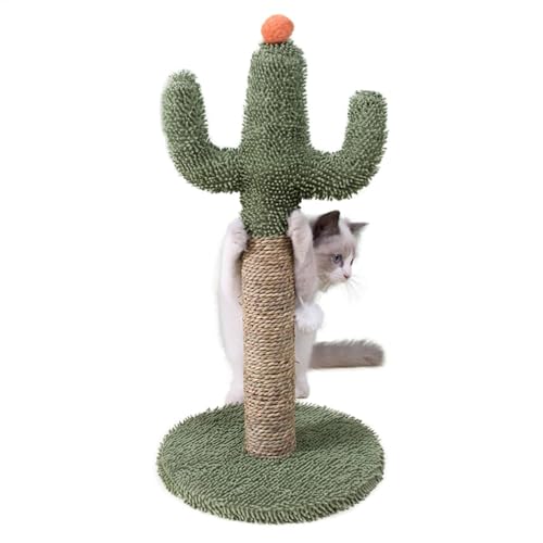 Cat Cat Scratcher, Cat Scratching Post, Green Cactus Cat Scratcher Post – Kratzstämme für Kätzchen natürlich, vertikal, stabile Nägel für Kätzchen im Innenbereich Cat Cat Scratcher, Cat Scratching Post, Green Cactus Cat Scratcher Post – Kratzstämme für Kätzchen natürlich, vertikal, stabile Nägel für Kätzchen im Innenbereich von Générique