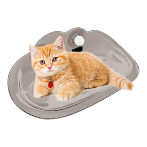 Cat Perch – Kitten Hammock | Cat Window Bed | Cats Bed Shock-Resistant Window Sill Lounger for House Cats for Sunbathing Sleeping Resting Cozy Retreat Apartment Balcony von Générique