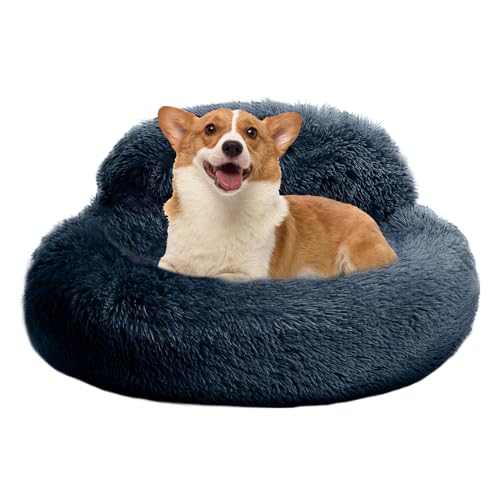 Donut-Bett für Hunde – rundes Kissen, bequem, mit Rand, erhöht, rutschfest, Nachtruhe, Nickerchen, Entspannung, flauschiger Teppich, weich, für Schlafzimmer, Schlafen, Haustiere, Haus, Innenbereich Donut-Bett für Hunde – rundes Kissen, bequem, mit Rand, erhöht, rutschfest, Nachtruhe, Nickerchen, Entspannung, flauschiger Teppich, weich, für Schlafzimmer, Schlafen, Haustiere, Haus, Innenbereich von Générique
