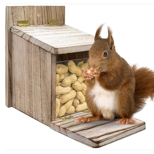 Eichhörnchen-Futterstationen für Garten, Garten, Eichhörnchenfütterung, Tisch für Futterstationen im Freien | Tischdekoration in niedlicher Form für Hof, Terrasse, , Baum, Jar Eichhörnchen-Futterstationen für Garten, Garten, Eichhörnchenfütterung, Tisch für Futterstationen im Freien | Tischdekoration in niedlicher Form für Hof, Terrasse, , Baum, Jar von Générique