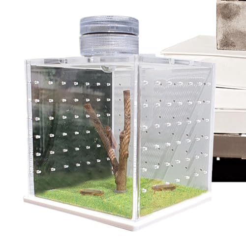Eidechsenkäfig, Reptilienreservoir Vogelspinne, Aufzuchtbox für religiöse Anbeter, Reptilienspeicher mit leichtem Luftbefeuchter und Amphibien Futteranschluss und a von Générique