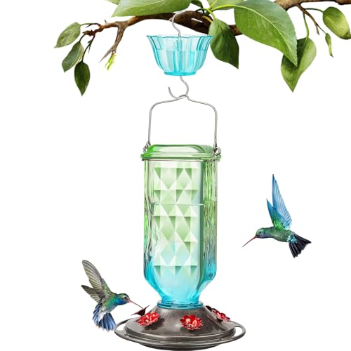 Feeder Bird Bird – Kolibri-Fresser mit Ameisengruben – Vogelfutterstation für den Außenbereich, auslaufsicherer Futterbehälter aus Glas, Futterspender von Générique