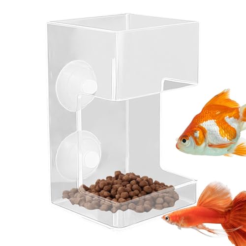 Fisch-Ordner für Aquarien | Aquarium-Fischfeeder flach mit Saugleistung | Löschen Sie die Futtermittel aus dem Tablett | -Schuhhalter | Verhindern Sie das D Fisch-Ordner für Aquarien | Aquarium-Fischfeeder flach mit Saugleistung | Löschen Sie die Futtermittel aus dem Tablett | -Schuhhalter | Verhindern Sie das D von Générique