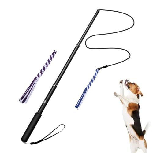 Flirt-Pole für Hunde, für den Außenbereich, Pipable Pippy Pet zum von Zeugnissen – Teaser zur interaktiven Post Flirt-Pole für Hunde, für den Außenbereich, Pipable Pippy Pet zum von Zeugnissen – Teaser zur interaktiven Post von Générique