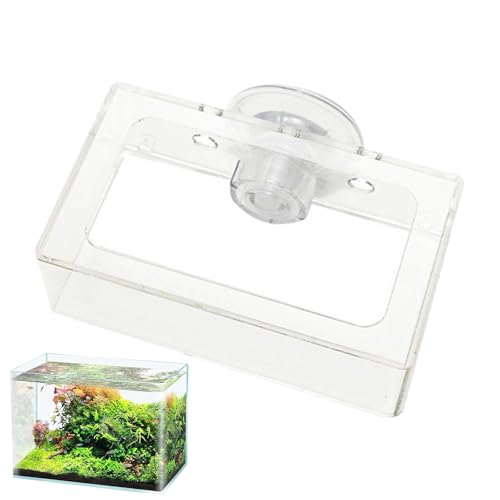 Futterschale für Fische, Fischfutter-Tablett | quadratisches Futtertablett mit Ansaugung | Wiederverwendbares Aquarienzubehör, langsames Füttern für Guppy, Betta von Générique
