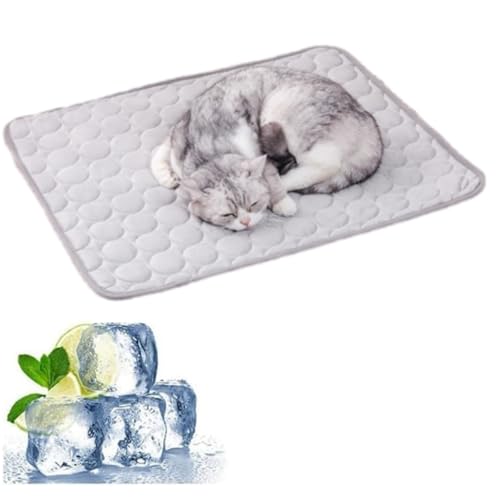 Générique Freshpad Kühlmatte für Hunde und Katzen, Fresh Pad für Hunde, Katzen, Kissen für Hunde, gegen Hitze, kühlende Matratze für Tiere, tragbar, waschbar, kratzfest Générique Freshpad Kühlmatte für Hunde und Katzen, Fresh Pad für Hunde, Katzen, Kissen für Hunde, gegen Hitze, kühlende Matratze für Tiere, tragbar, waschbar, kratzfest von Générique