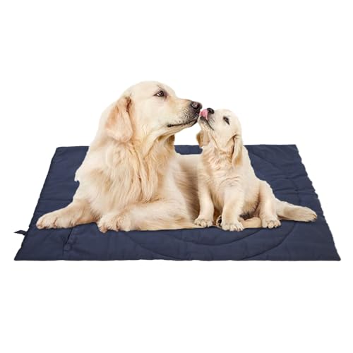 Générique Hundematte – Kaltwaschbar, gepolstert, nicht verschwendet, wasserdichte Matte für Hunde für Sofa und Boden, Haustierbett, weicher Teppich D Générique Hundematte – Kaltwaschbar, gepolstert, nicht verschwendet, wasserdichte Matte für Hunde für Sofa und Boden, Haustierbett, weicher Teppich D von Générique