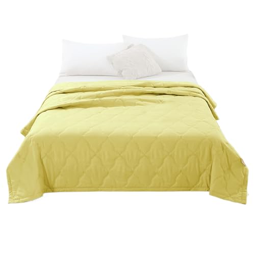 Générique Kühlende Decke für wärmeempfindliche Schläfer, leicht, atmungsaktiv, doppelseitig, kühlend, kuschelig für Sofa, Bett, Sommer, warme Schläfer von Générique