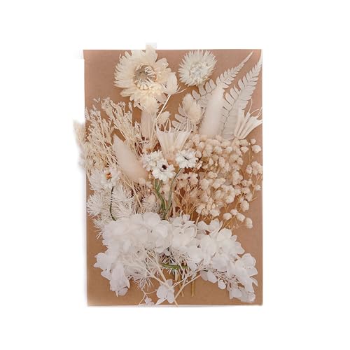 Getrocknete Blumen für das Handwerk | Schöne bunte Blumen – Harz bietet 10 Farben für die Herstellung von Duftkerzen, Epoxidharzen, Anhängern, Halsketten, Schmuck von Générique
