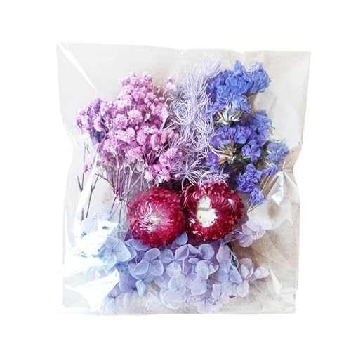 Getrocknete gepresste Blumen - Natürliche getrocknete Blume - Bastelset für Blumenarrangements - Natürliche getrocknete Blumenblätter für Scrapbooking - Fotorahmen, Handwerk, Herstellung Getrocknete gepresste Blumen - Natürliche getrocknete Blume - Bastelset für Blumenarrangements - Natürliche getrocknete Blumenblätter für Scrapbooking - Fotorahmen, Handwerk, Herstellung von Générique