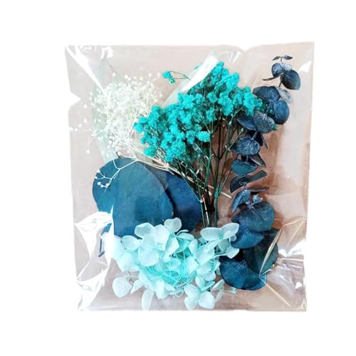 Getrocknete gepresste Blumen - Natürliche getrocknete Blume - Bastelset für Blumenarrangements - Natürliche getrocknete Blumenblätter für Scrapbooking - Fotorahmen, Handwerk, Herstellung von Générique