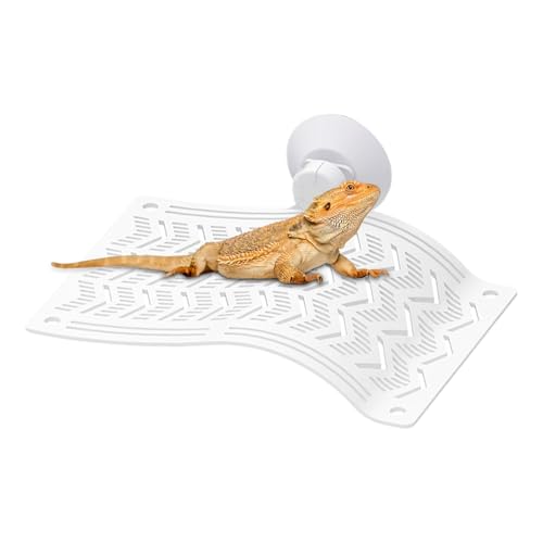 Hängematte für Reptilien, Barbardrache, Eidechsen-Hängematte, Baum-Wiege, Bart-Drachen-Klettergerüst, Eidechsen-Klettertank, Leoparden-Gecko-Lebensraum, Chamäleon-Reptilienliege Hängematte für Reptilien, Barbardrache, Eidechsen-Hängematte, Baum-Wiege, Bart-Drachen-Klettergerüst, Eidechsen-Klettertank, Leoparden-Gecko-Lebensraum, Chamäleon-Reptilienliege von Générique