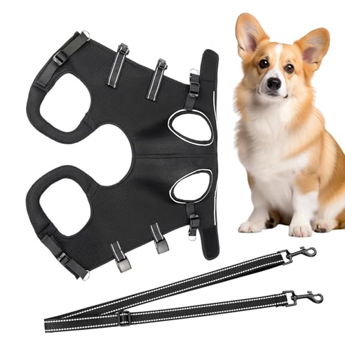 Hebegeschirr für Hunde – Rehabilitationsgeschirr zur Unterstützung der , bequemes Geschirr für ältere Hunde – Unterstützung bei Spaziergängen im Freien Hebegeschirr für Hunde – Rehabilitationsgeschirr zur Unterstützung der , bequemes Geschirr für ältere Hunde – Unterstützung bei Spaziergängen im Freien von Générique