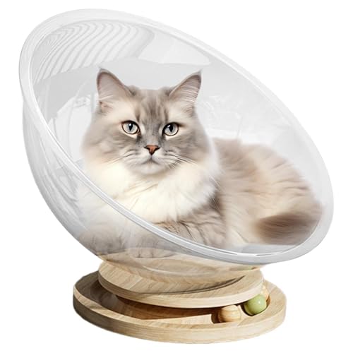 House Cat Space Katzenstuhl, kleines bequemes Haustierbett | Freistehende Katzenmöbel mit transparentem Design, stabiles Aktivitätszentrum einfach zu verwenden von Générique