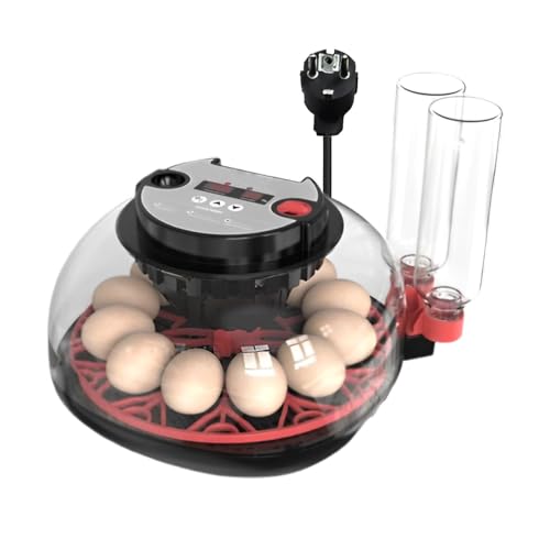 Inkubator für Eier, Brutkasten für Hühnereier, automatische Temperaturregelung, 12 Eier Inkubator, Anzuchtausrüstung, mit transparentem Deckel, beleuchtetes Design Inkubator für Eier, Brutkasten für Hühnereier, automatische Temperaturregelung, 12 Eier Inkubator, Anzuchtausrüstung, mit transparentem Deckel, beleuchtetes Design von Générique