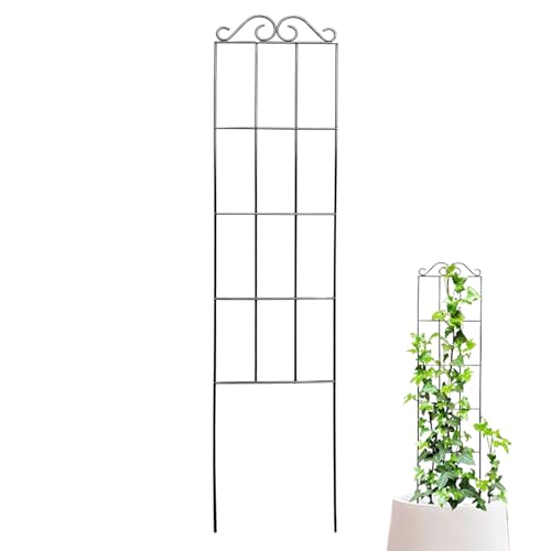 Klettergerüste unterstützen das Gitter – Ständer für den Innenbereich | Blumenkäfig aus Metall | Rost-Eisendraht-Display für den Innen- und Außenbereich von Générique