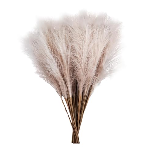 Pampas Grass – Getrocknetes Pampas | Künstliche Pampas | Fake Pampas Fett | Künstliche Blume Boho Decor | Bullush Bulrush Grass für Vase Farm Farmhouse Home Wedding Decor Pampas Grass – Getrocknetes Pampas | Künstliche Pampas | Fake Pampas Fett | Künstliche Blume Boho Decor | Bullush Bulrush Grass für Vase Farm Farmhouse Home Wedding Decor von Générique
