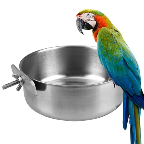 Papageienmacher mit Vogelnapf – Käfigbecher aus Edelstahl, Halterung für Lebensmittel | Ordner aus Metall, einfach zu befestigen mit sicherer Zange, ungiftige Vogelkäfigschale Papageienmacher mit Vogelnapf – Käfigbecher aus Edelstahl, Halterung für Lebensmittel | Ordner aus Metall, einfach zu befestigen mit sicherer Zange, ungiftige Vogelkäfigschale von Générique
