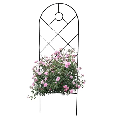 Pflanzliche Trellis im – dekorative stapelbare Regale aus Metall, , Blumen, Weinrebe | 50,8 x 17,87 cm, dekoratives , Weinrebenblüten, Rankgitter für die Pflanzung im , Garten Pflanzliche Trellis im – dekorative stapelbare Regale aus Metall, , Blumen, Weinrebe | 50,8 x 17,87 cm, dekoratives , Weinrebenblüten, Rankgitter für die Pflanzung im , Garten von Générique