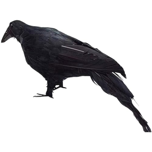 Realistische Raben Statue | Statue Imitation in Originalgröße – Dekofigur Vogel Tier für Garten Außen von Générique