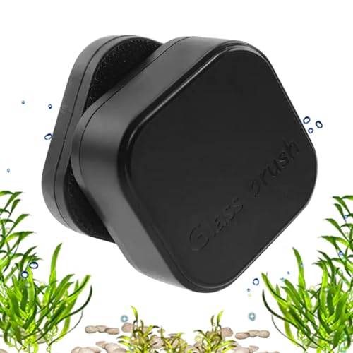 Reinigung aus Glas für Fische, magnetisch | Reinigungsbürste zum Angeln – Umzugszubehör, Reinigungswerkzeug Reinigung aus Glas für Fische, magnetisch | Reinigungsbürste zum Angeln – Umzugszubehör, Reinigungswerkzeug von Générique