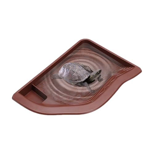 Reptilien Water Bowl – Terrarium, Futterschalen für Schildkröten, Terrarium-Zubehör für Aquarien, Name der Schildkröten, Wasserturtle von Générique